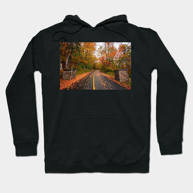 Fall Foliage Hoodie by jswolfphoto